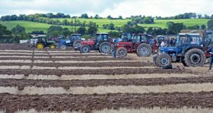 nationalploughing2